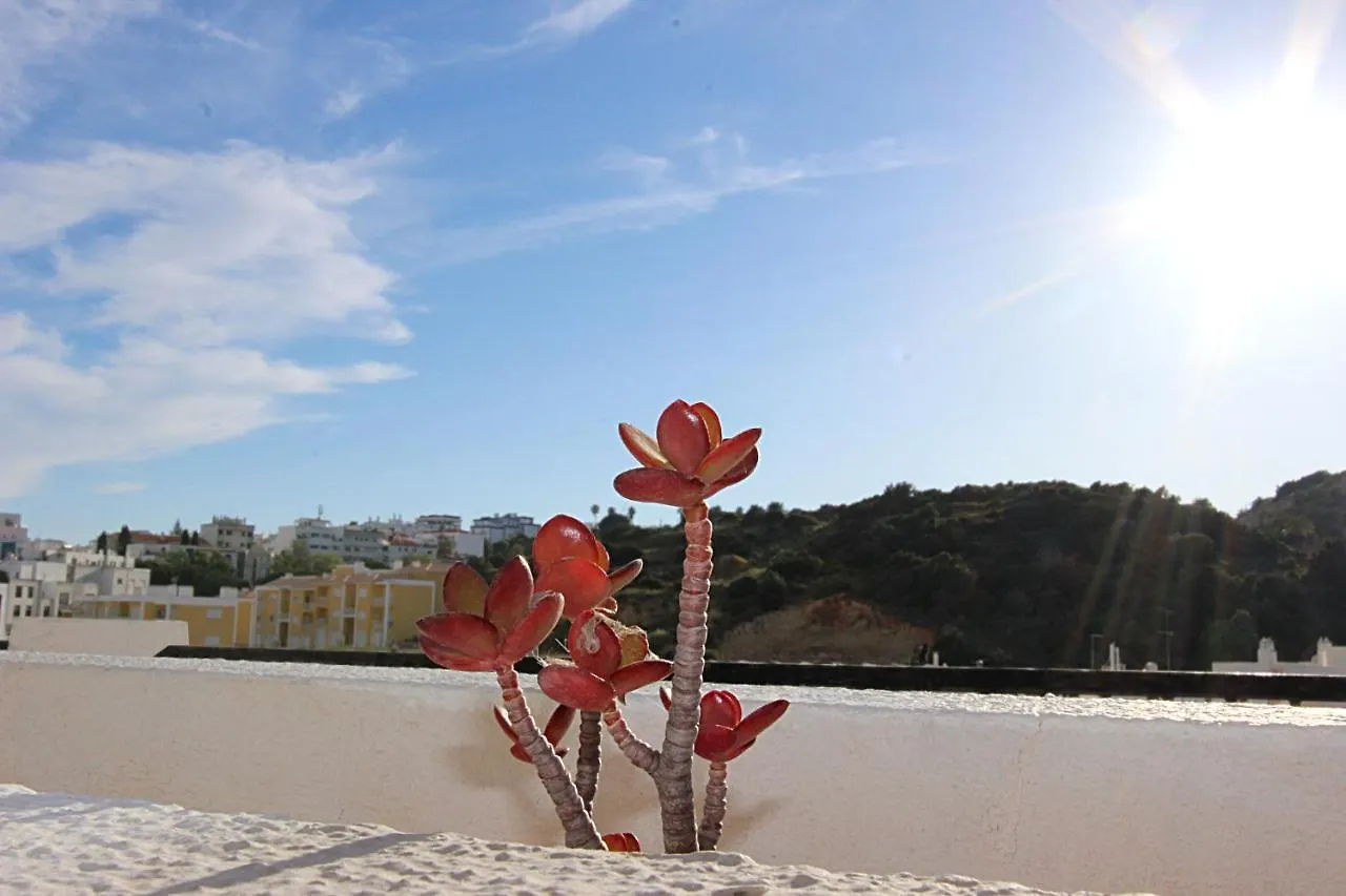 Apartamento Charming Blue Albufeira